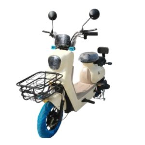 Moto eléctrica VMP LY-Q7