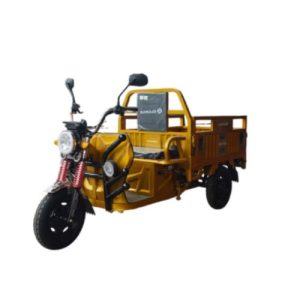 Triciclo de Carga JDSL-130