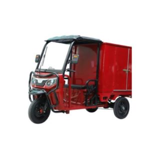 Triciclo de Carga JDSL-160-K